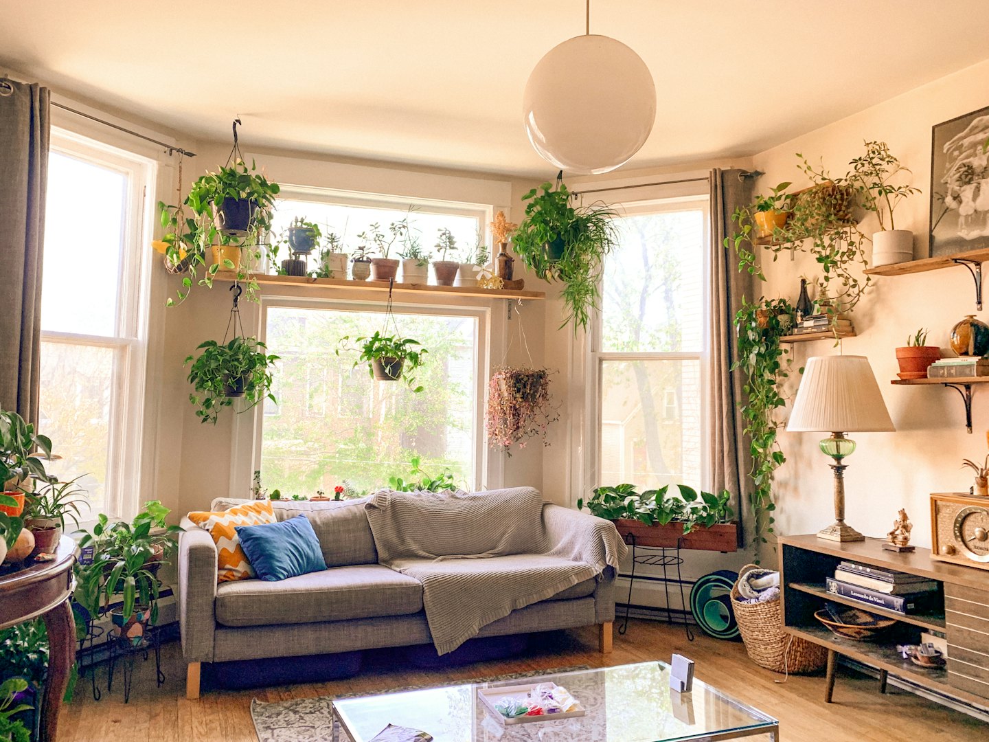 Acogedora sala de estar con abundantes plantas de interior y asientos cómodos.